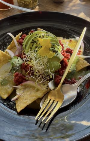   at Tropical Kitchen Cabo in Cabo San Lucas