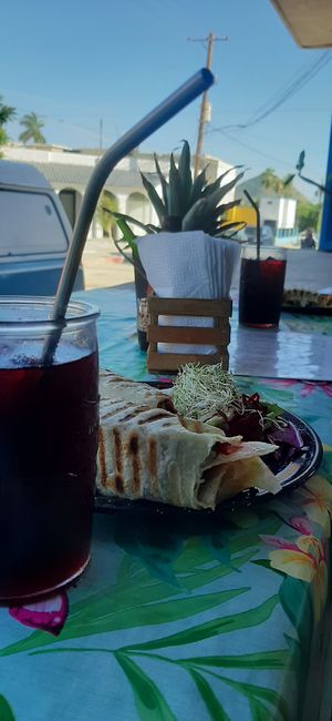 Tropikal burrito at Tropical Kitchen Cabo in Cabo San Lucas