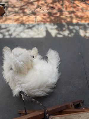   at Eco Tienda Café in Asuncion