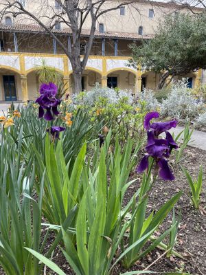   at Le VG D'Arles - La Cantine Végétale in Arles