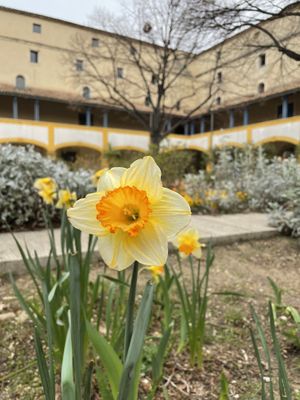   at Le VG D'Arles - La Cantine Végétale in Arles