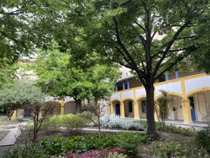 The courtyard of Hotel Dieu  at Le VG D'Arles - La Cantine Végétale in Arles