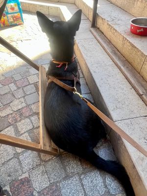   at Le VG D'Arles - La Cantine Végétale in Arles