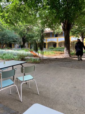 View from the table at Le VG D'Arles - La Cantine Végétale in Arles