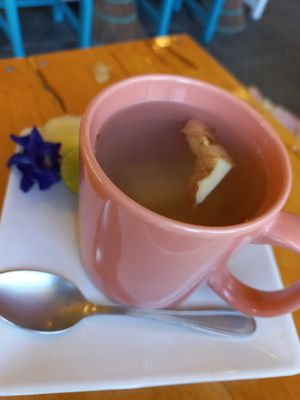 Ginger tea #Veganuary at Free Bird Cafe in Chiang Mai