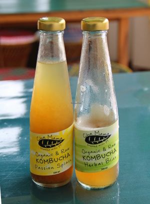 Kombucha.  at Free Bird Cafe in Chiang Mai