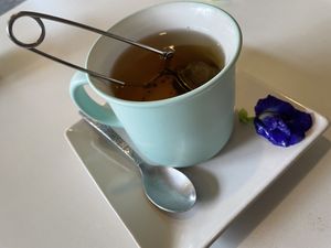 Organic green tea, 50 baht  at Free Bird Cafe in Chiang Mai