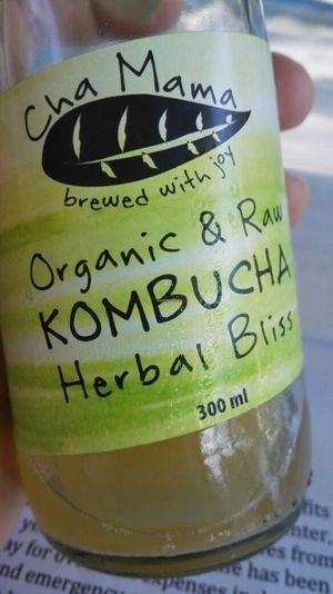 kombucha! at Free Bird Cafe in Chiang Mai