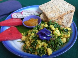 Chickpea scramble set at Free Bird Cafe in Chiang Mai