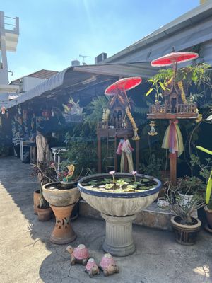 Outside cafe  #Veganuary at Free Bird Cafe in Chiang Mai