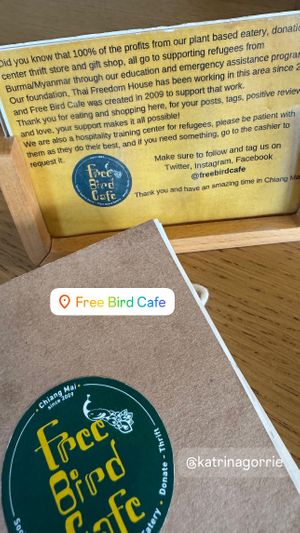   at Free Bird Cafe in Chiang Mai