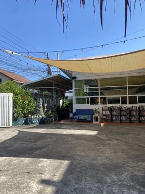   at Free Bird Cafe in Chiang Mai