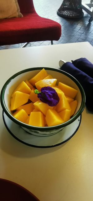 Mango at Free Bird Cafe in Chiang Mai
