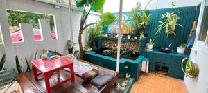 Outside at Free Bird Cafe in Chiang Mai