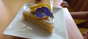 Lemon drizzle cake at Free Bird Cafe in Chiang Mai