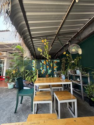   at Free Bird Cafe in Chiang Mai