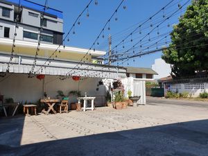 Really nice place at Free Bird Cafe in Chiang Mai