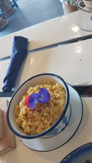 Mac and cheese - not so good at Free Bird Cafe in Chiang Mai