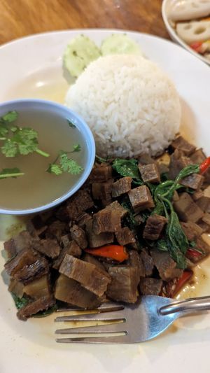 Vegan pork belly and rice at CMU Vegan - Kinphak Cafe in Chiang Mai