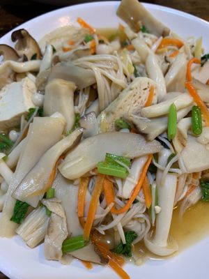 เห็ดรวมผัดขิง Stir-fried 🇵🇸⚖️Mixed Mushrooms with Ginger. 100% Apartheid-free, 100% Zio-free. No Children were murdered making this dish. 👩 at CMU Vegan - Kinphak Cafe in Chiang Mai