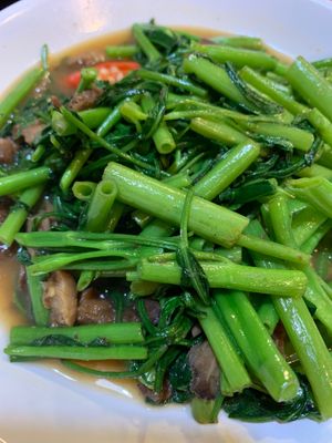 ผักผัดบุ้ง Stir-fried Morning Glory🇿🇦. Highly 🕌👩🏽‍🍼nutritious and suitable for those adamantly opposed to Thieving Apartheid Genocide!🌏 at CMU Vegan - Kinphak Cafe in Chiang Mai