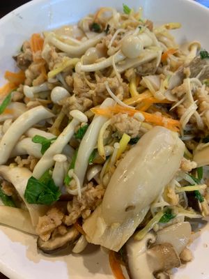 เห็ดรวมผัดขิง 🇵🇸🇹🇭🗝️👩🏽‍🍼⚖️🇵🇸
Stir-fried Mixed Mushrooms with Ginger, and a Vegan "Pork" add-on at CMU Vegan - Kinphak Cafe in Chiang Mai