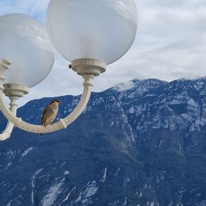  at Le Palme in Limone Sul Garda