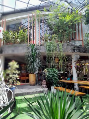 at Zenhouse in Ho Chi Minh City