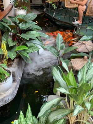  at Zenhouse in Ho Chi Minh City