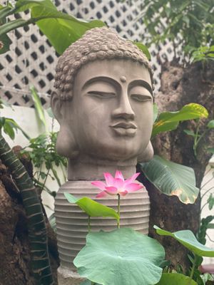  at Zenhouse in Ho Chi Minh City