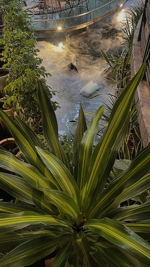  at Zenhouse in Ho Chi Minh City