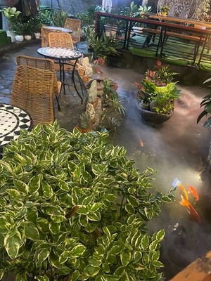  at Zenhouse in Ho Chi Minh City