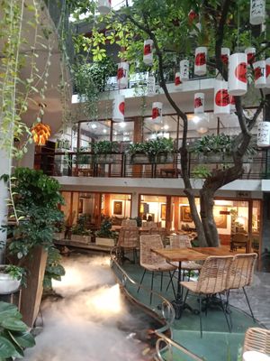  at Zenhouse in Ho Chi Minh City