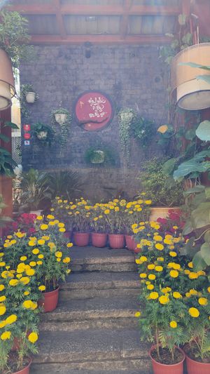  at Zenhouse in Ho Chi Minh City