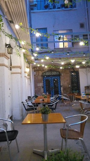 Secret garden (more greens on the other side) at Señor Piña Las Ramblas in Barcelona