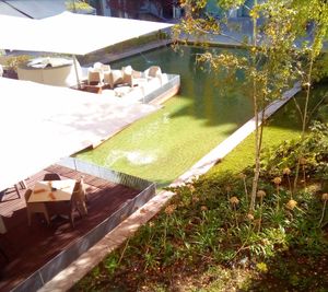 Outdoors garden at Enigma D'Alquimia in Lisbon