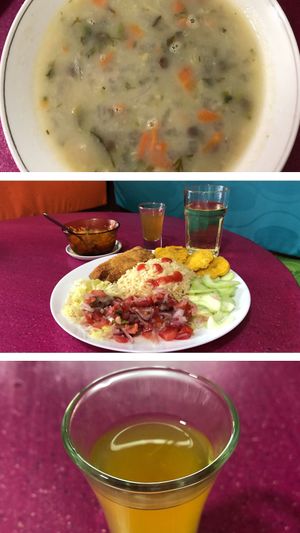 Menu Del Dia; Plató fuerte: trucha vegetariana arroz integral patacones ensaladas de pepinillo y encurtido. Sopa: de lenteja. Té: hierba luisa. at Inti-Mikuna in Quito