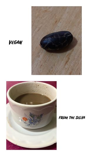 Vegan at Inti-Mikuna in Quito