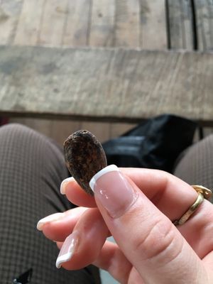  at Caribeans Coffee and Chocolate Factory in Puerto Viejo De Talamanca