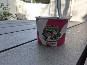 Huge portions at Twin Acres Ice Cream Shoppe in Sandwich