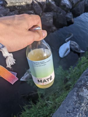 Maté at Kiss The Ground in Geneva