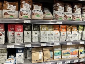 Coffee at Kiss The Ground in Geneva