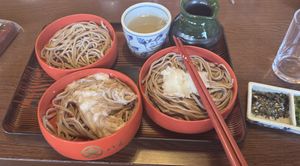Veggie set   at Yakumo Honten in Izumo