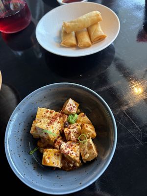 Mapo Tofu and mini Spring Rolls  at Alexander in Leiden