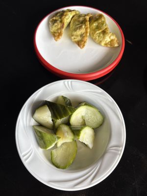 Gyoza and Pickled Cucumber  at Alexander in Leiden