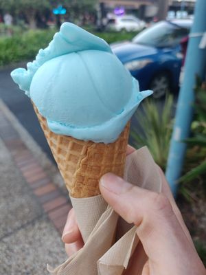  at Blue Cow in Port Macquarie