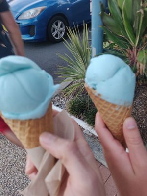  at Blue Cow in Port Macquarie