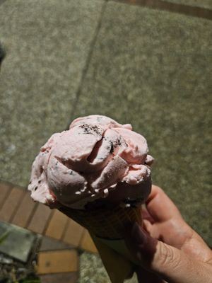  at Blue Cow in Port Macquarie