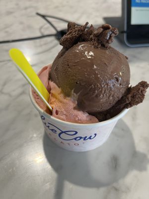   at Blue Cow in Port Macquarie