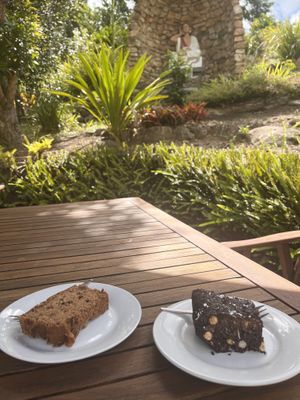 Gorgeous outdoor seating    at Big Love Cafe in Sunshine Coast
